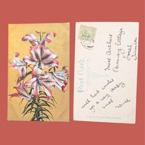 6/$15 Antique Gilded Postmarked Golden Age Floral Postcard  Lilies